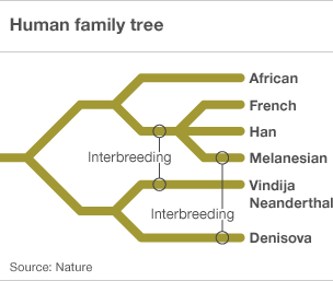 human_family_tree304