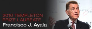 templeton-ayala